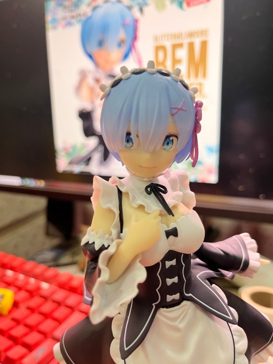 闪耀魅力蕾姆，做的很好，下次不买了