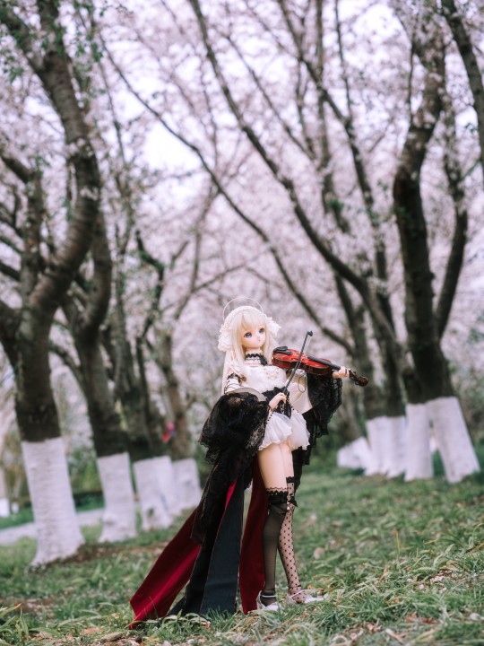 《魔女契約の桜音》