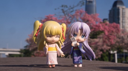 玛利亚：哇！是樱花耶啊哈哈哈哈哈哈哈