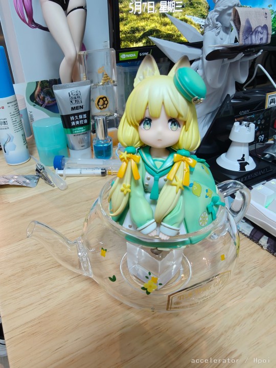 茶会猫-柠檬猫到货随手拍