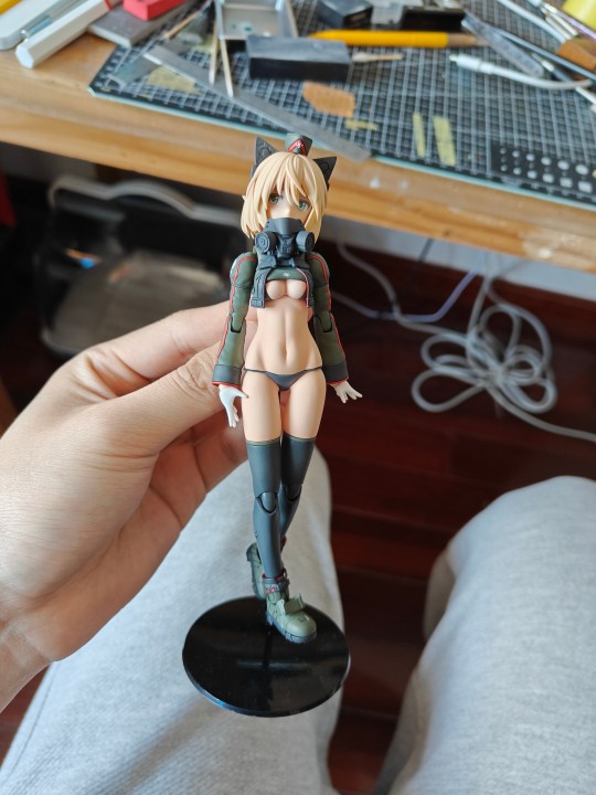 可爱的阿蒂尼亚