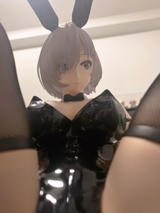 佐绍魁寻 兔女郎