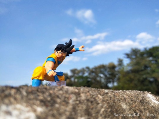 龙珠相关的低技术力拍摄