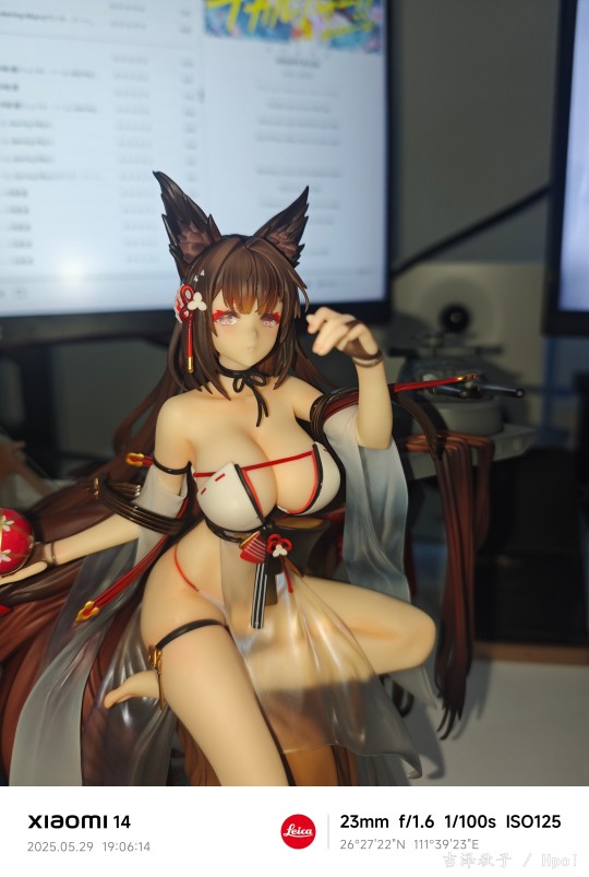 很不错的一只天城