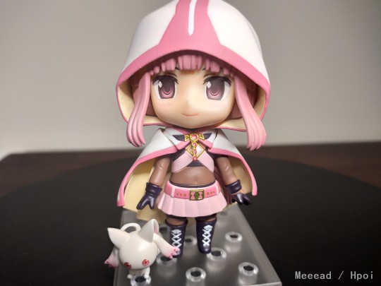 入柜补照-环彩羽