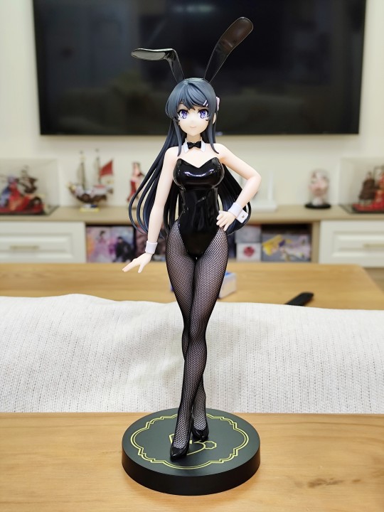 兔女郎樱岛麻衣