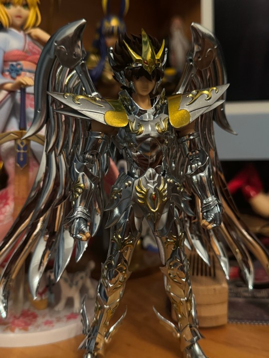 天马座神圣衣终于到了