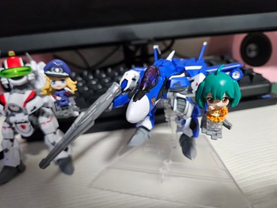 TINY SESSION 超时空要塞F VF-25F 弥赛亚女武神(米歇尔专用) 与兰花