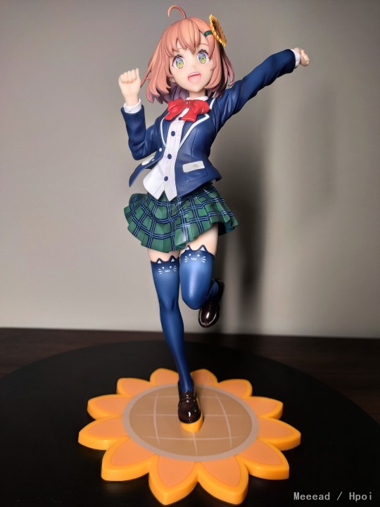 入柜补照-本间向日葵