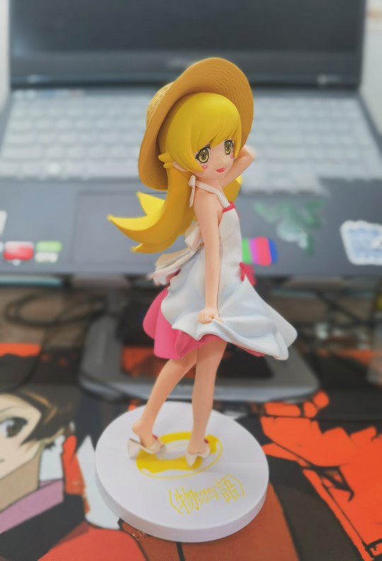 最好看的景品小忍