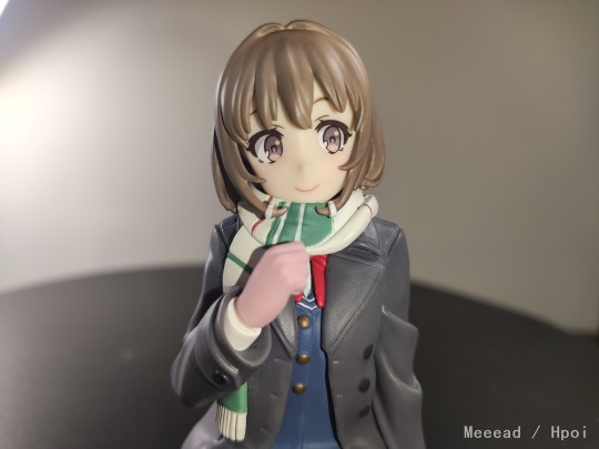 入柜补照-梓川花枫