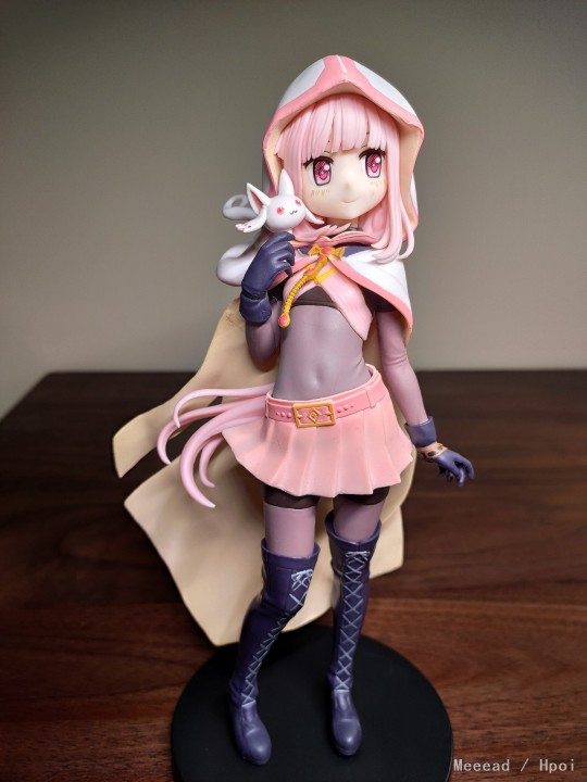 入柜补照-环彩羽