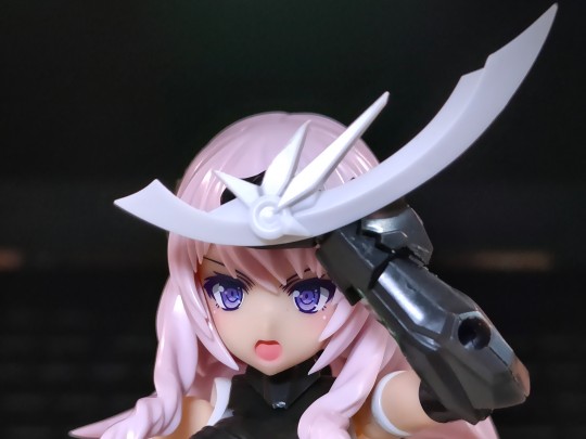 “我已经舍弃祸月这个名字了！”