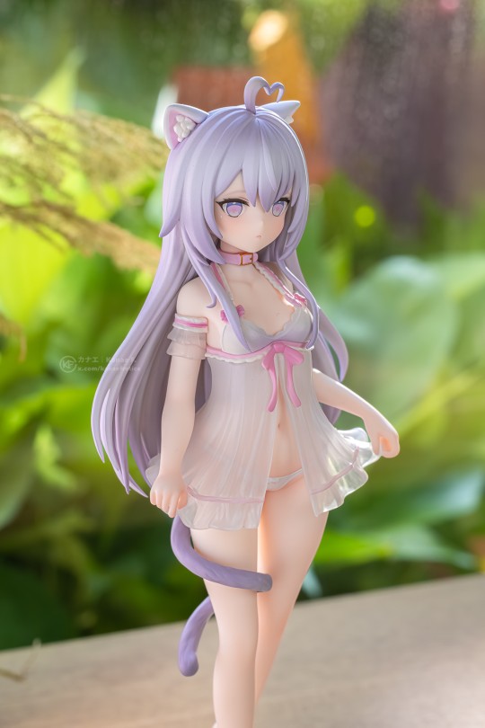 家有猫猫 糯米米