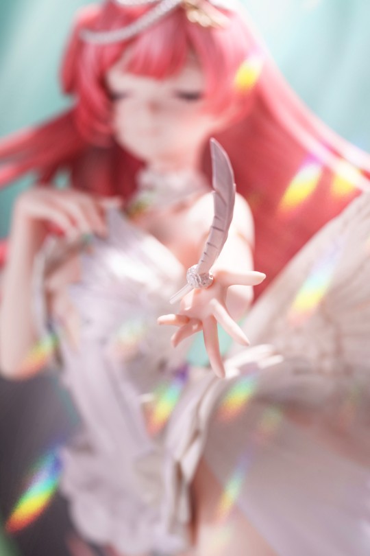 可以收下我的羽毛吗