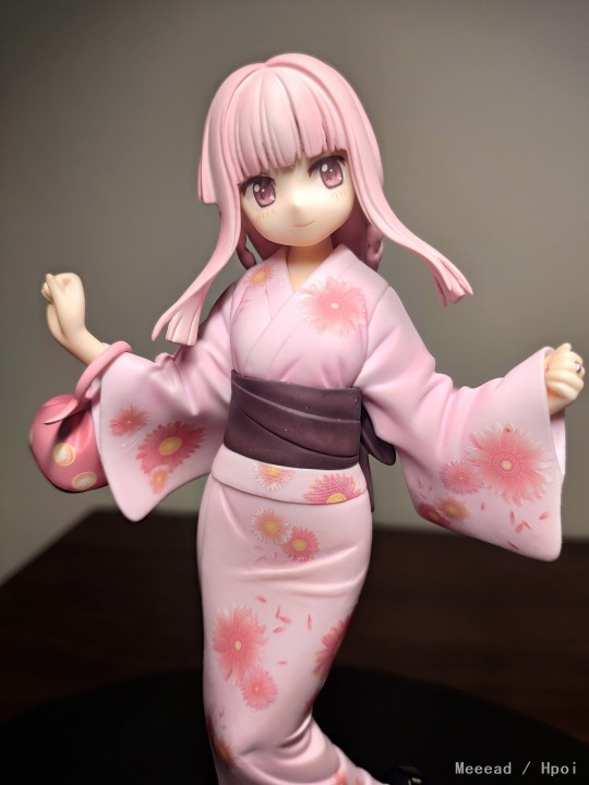 入柜补照-环彩羽