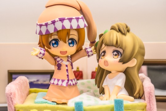 果果和小鸟的一点小日常