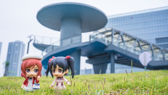 「2025矢泽妮可生日作」GSC 粘土人外摄 妮可和真姬的约会日常～