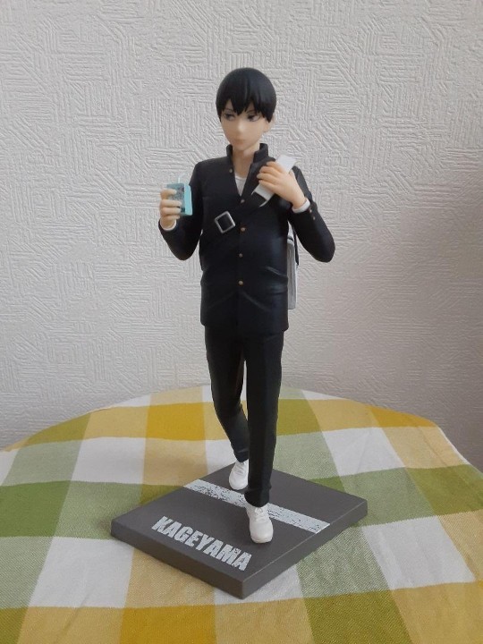 转载TENITOL日向影山大货实物图