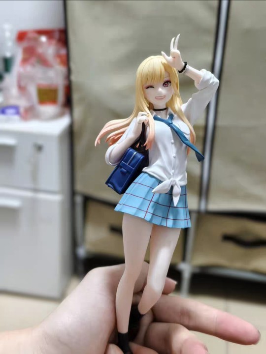 某鱼上的实物图