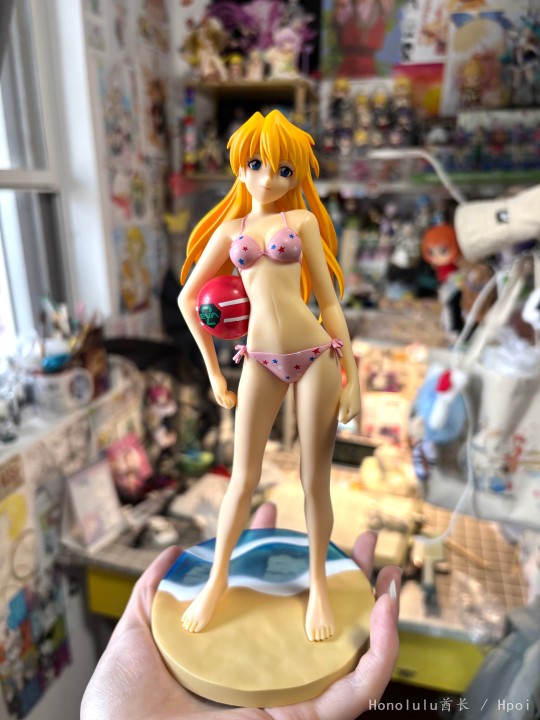 04年世嘉泳装香