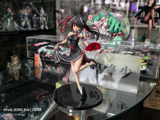 叶婷峰少手办收藏之480-卖掉才统计到的手办⁽不知道什么时候入的了⁾