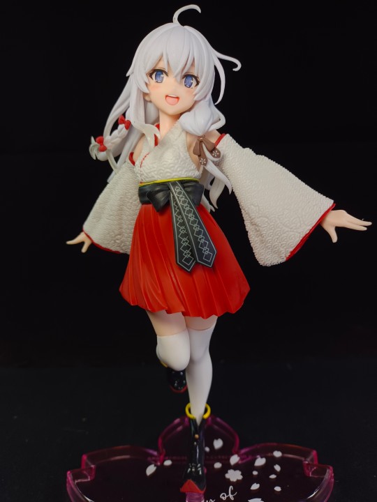 今日小入：伊蕾娜46