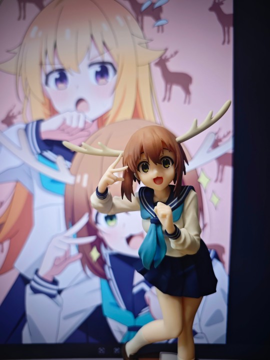 代理版购后返图