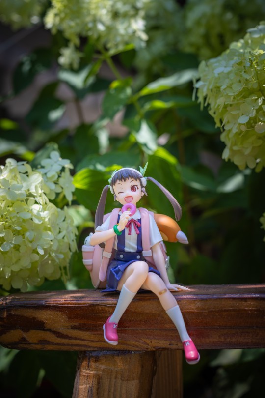 社畜生活的碎片。。。