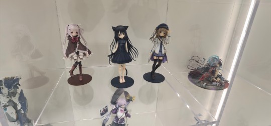 百联zx逛街看到的 原来🐱店里有实物啊