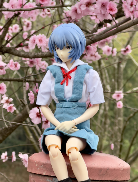 年前的一些照片