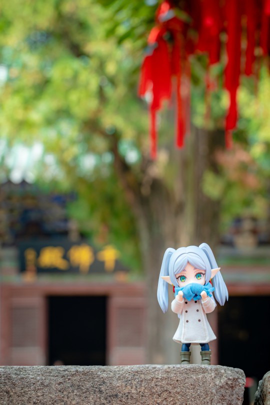 【胶游记】有芙莉莲在的泰安&济南之行