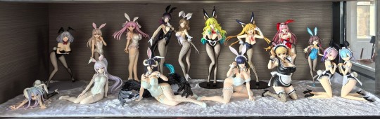 Freeing自由社兔子窝更新