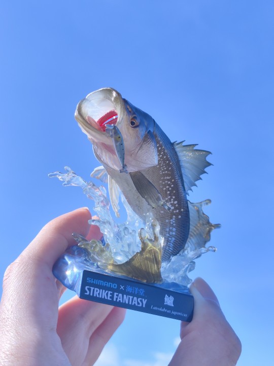 不是鱼露，是鲈鱼！