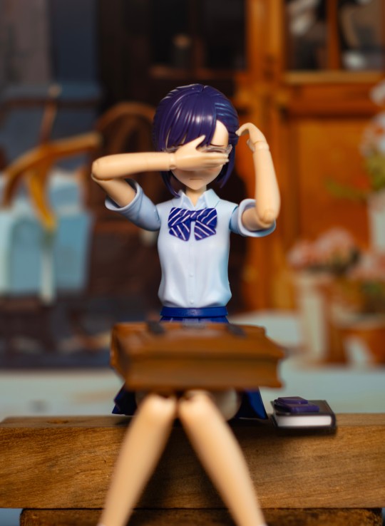 小鸟游历 夏季校服