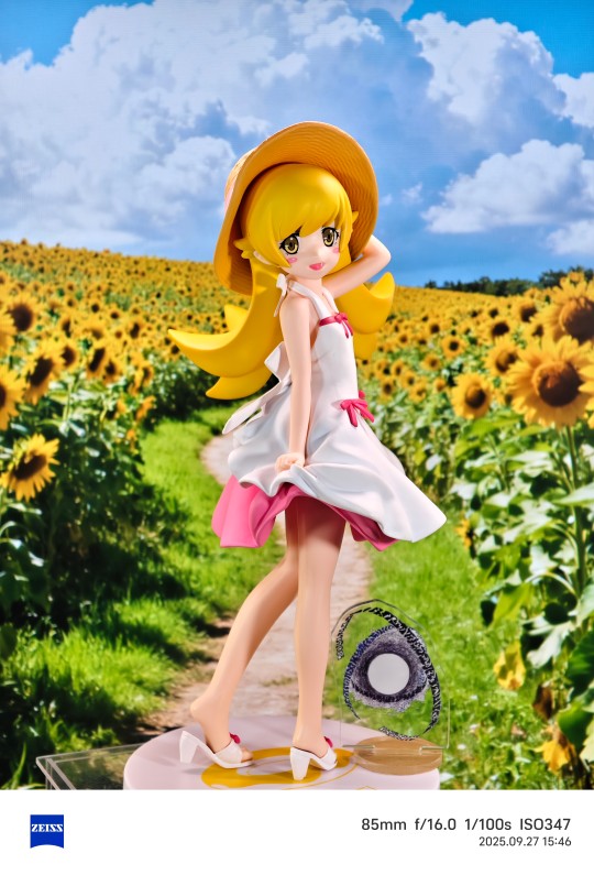 【萝莉推荐】忍野忍