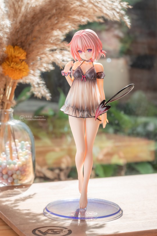 【随手拍】正午的太阳和梦梦