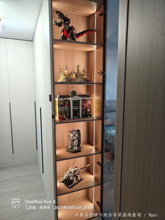 展柜分享—主卧展柜