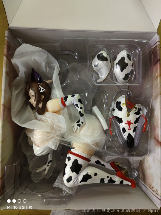 奶牛阿姨随手拍