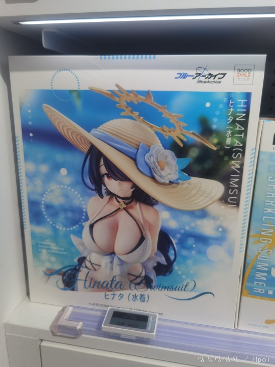 若叶日向泳装 包装盒