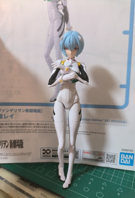 30mp绫波丽拼装水