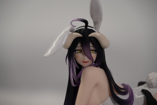 taito雅儿贝德兔女郎留档