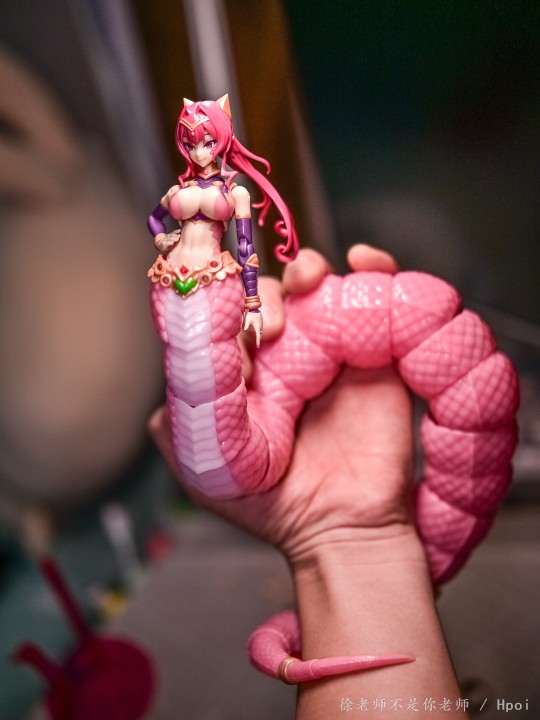 肉嘟嘟的，盘起来手感太棒了