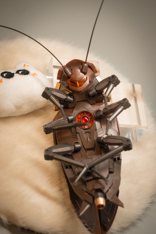 是螂给的诱惑～