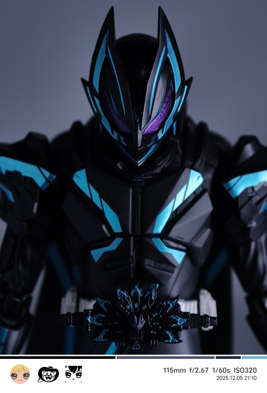 帅是一辈子的事