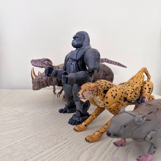 bw初代五小强集合