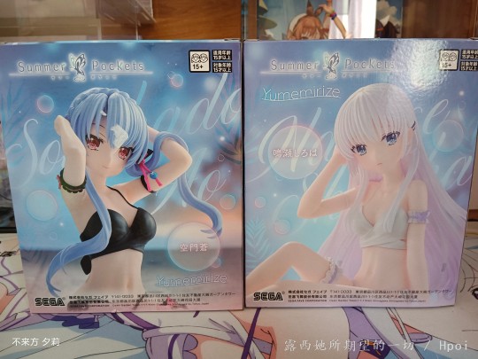 世嘉 鸣濑白羽 空门苍