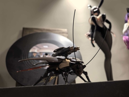 广东双马尾！！！！！