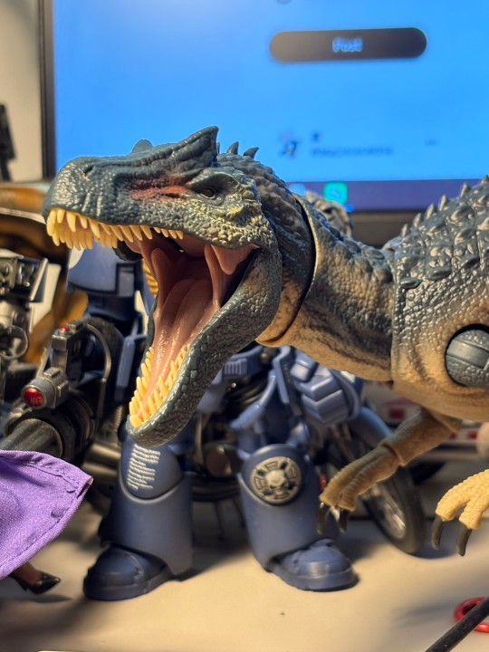 第一次买，体验很好