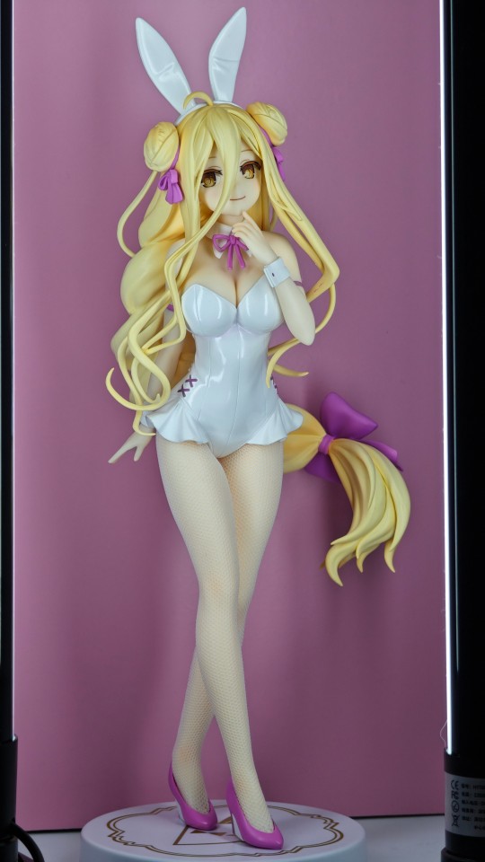 记录002，一只小白兔子